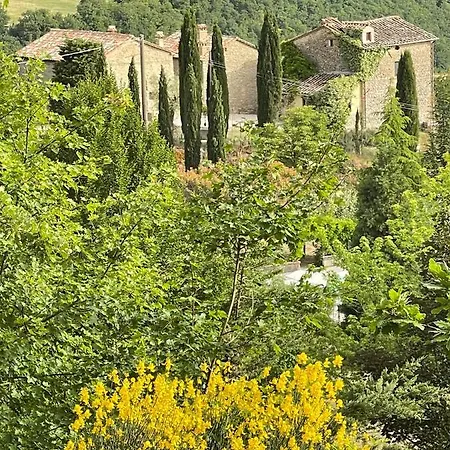 Ca' Di Nieri - The Saints' * Monte Santa Maria Tiberina
